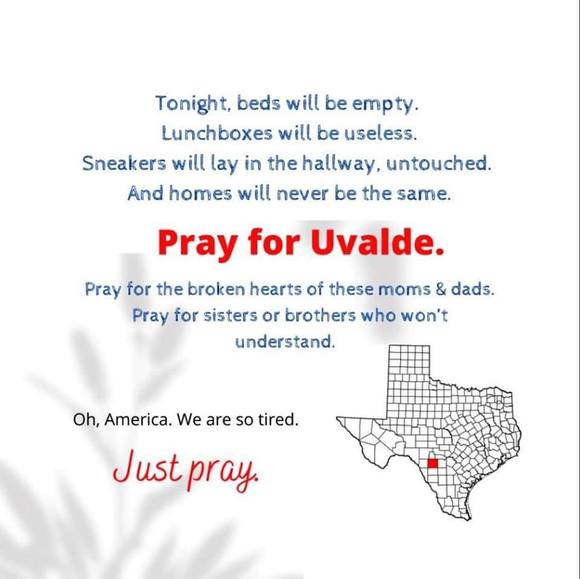 Meet your Posher, Josie - Picture 1 of 1